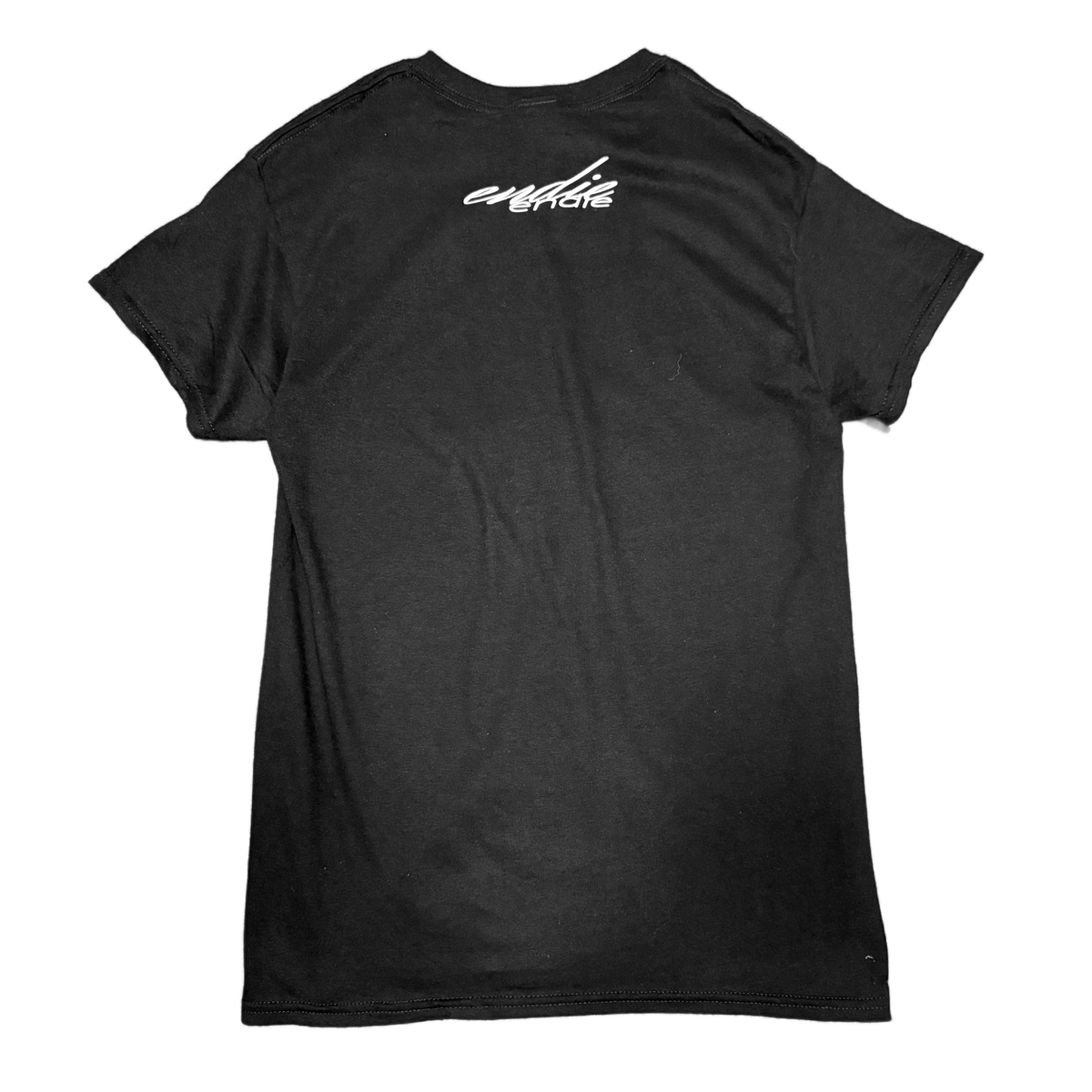 "live in the flesh" BLACK TEE